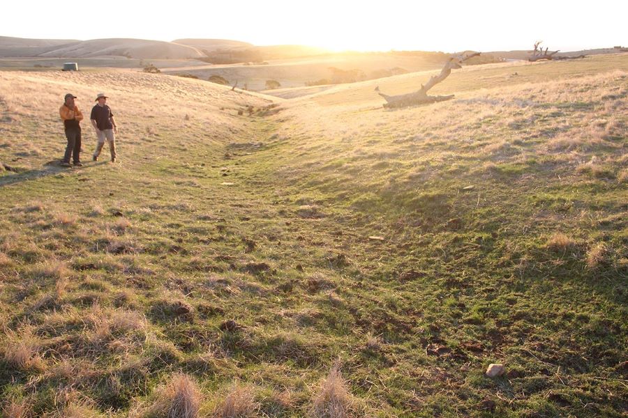 Assessing North Creek crossing