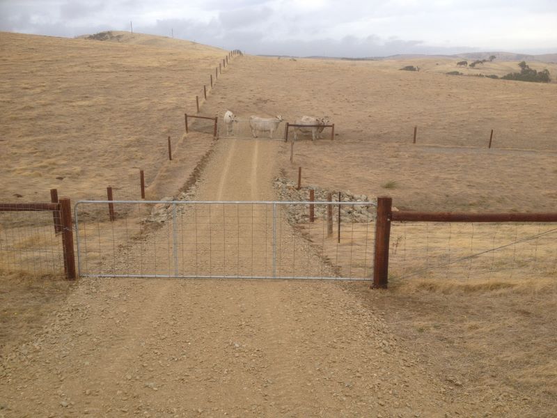 North Creek crossing