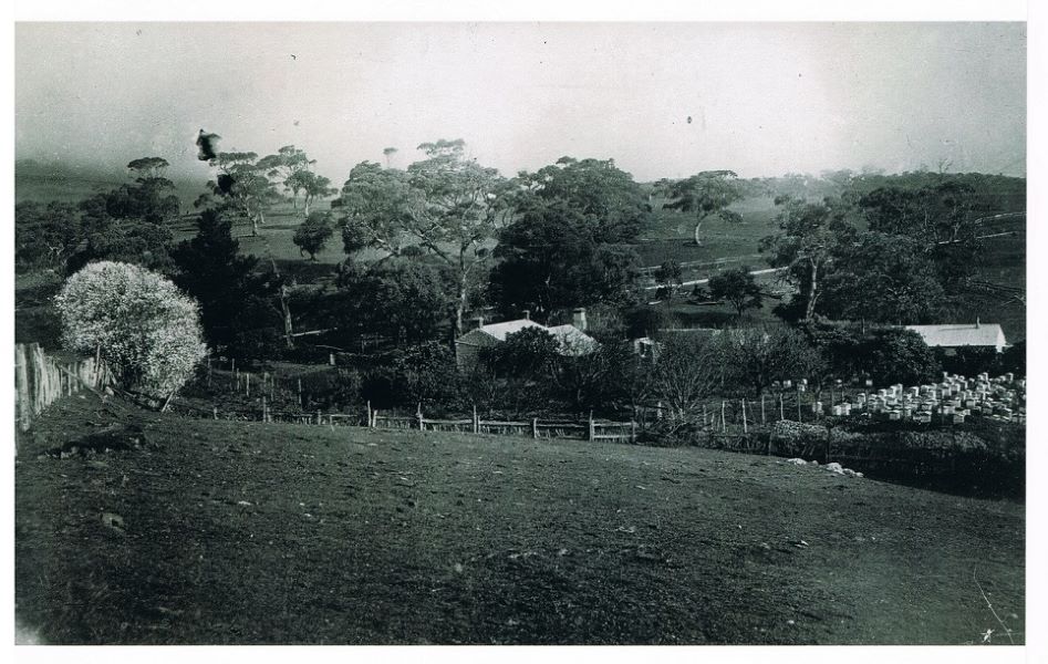 Distant photo of the Anacotilla homestead, late 1800